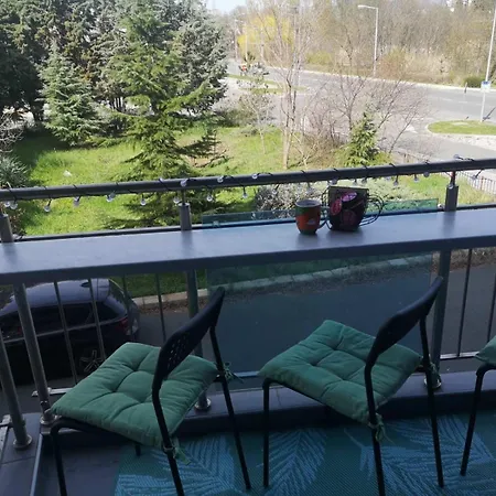 Cacao 9 Slăntjev Brjag